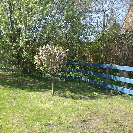 Volschow-hering