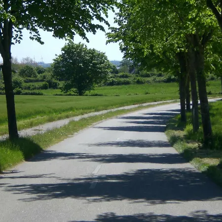 Volschow-hering Waabs