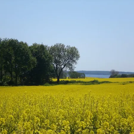 Appartement Volschow-hering Waabs