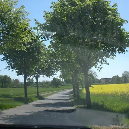 Volschow-hering Waabs